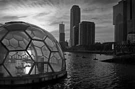 Rijnhaven Rotterdam von Peter Hofwegen