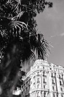 Carlot Hotel Cannes Frankreich