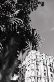 Carlot Hotel Cannes France by Wianda Bongen