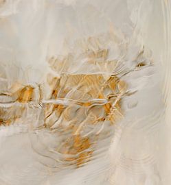 Reflection of tree in water - bird abstract - impressionism by John Quendag