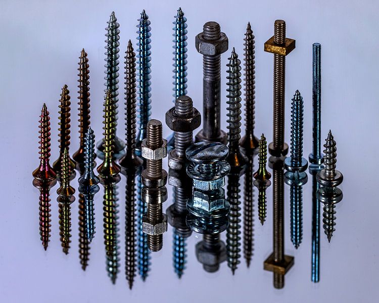 Nuts and Bolts by Stefanie van Dijk