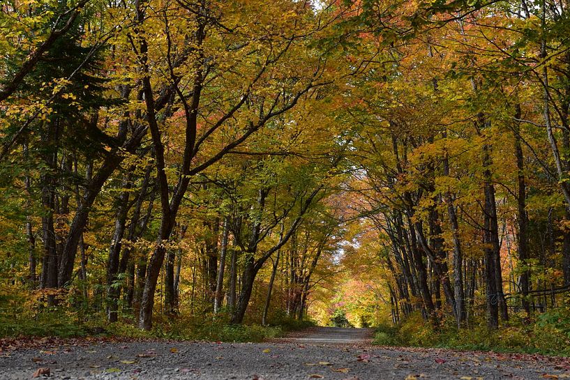 A country road in autumn by Claude Laprise
