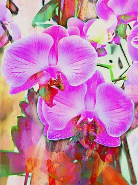 Eine Erforschung der Orchideen von Dorothy Berry-Lound