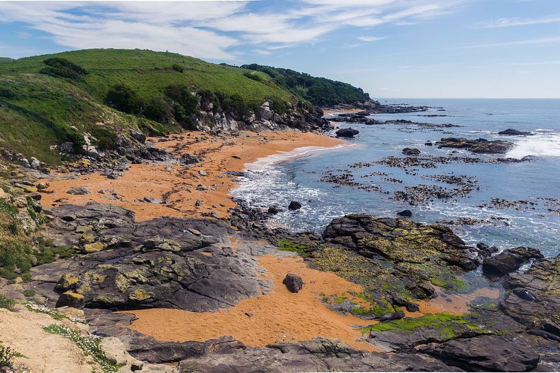 Het oranje strand in Nieuw-Zeeland van Linda Schouw