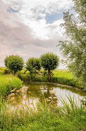 Typical Polder image Krimpenerwaard by Jolanda van Haeften