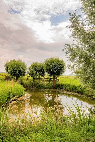 Image typique d'un polder Krimpenerwaard