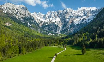 Alpen landschap vallei in de lente van Sjoerd van der Wal Fotografie