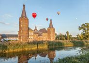 Parkstad Ballonfestival 2016 van John Kreukniet thumbnail