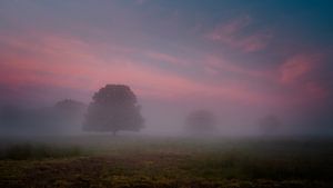 Mistig kleurrijke sfeeropname zonsopkomst von Richard Reuser