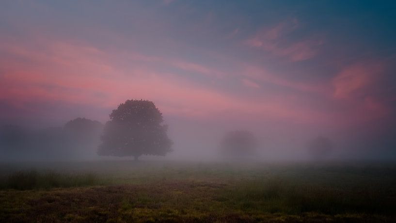 Mistig kleurrijke sfeeropname zonsopkomst by Richard Reuser