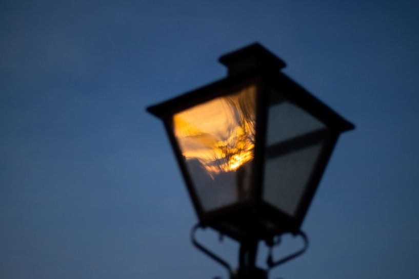 Vuur in de lucht van lieve van der ham