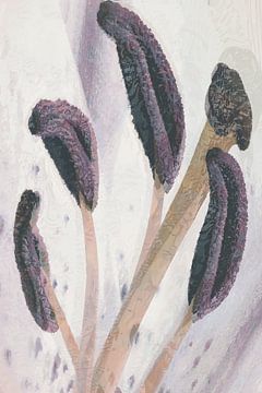 Portrait pistil and stamens lily by Anna Marie de Klerk