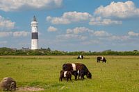 Vuurtoren "Langer Christian" op het eiland Sylt
