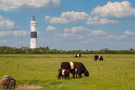 Lighthouse "Langer Christian" on the island of Sylt by Gerwin Schadl