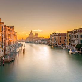 Venice by Dieter Meyrl