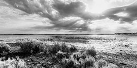 Étang de Vaccarès in de Camargue - monochroom van Werner Dieterich