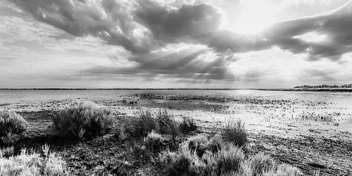 Étang de Vaccarès in the Camargue – monochrome by Werner Dieterich