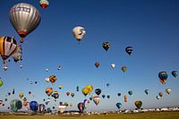 Hot Air Balloon Festival