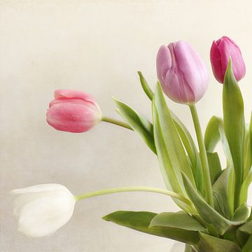 Boeket tulpen