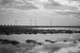 West chimneys - 6 by Nuance Beeld