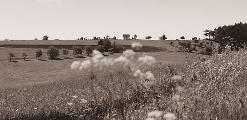 Eenzame kapel in het natuurpark Rhön/Hesse