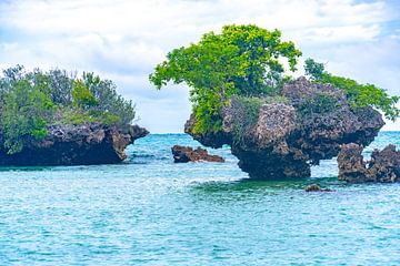 Inseln bei Sansibar von Barbara Riedel