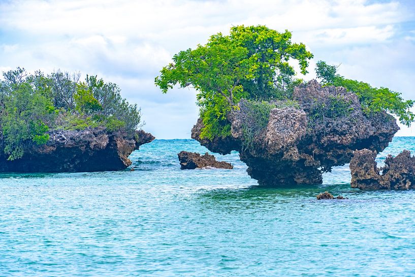 Inseln bei Sansibar von Barbara Riedel