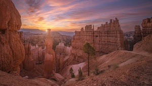 Magischer Sonnenaufgang am Thor's Hammer, Bryce Canyon