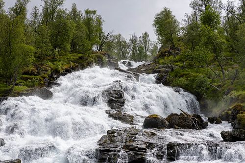 Cascades van Levende Vrijheid