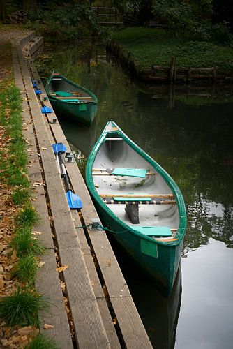 Boten in het Spreewald