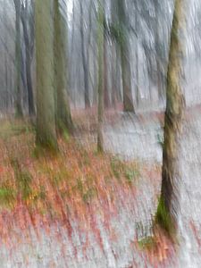 Forêt abstraite sur Erwin Gorter