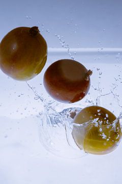 Stachelbeeren fallen in Wasser 2 von Marc Heiligenstein