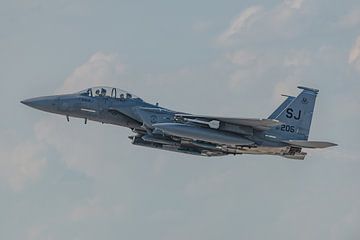 McDonnell Douglas F-15E Strike Eagle. van Jaap van den Berg