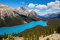 Leuchtend blauer Peyto-See in Kanada