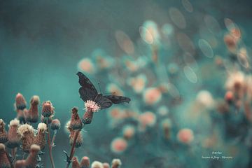 Magische Schmetterlinge von Susana de Jong - Monteiro