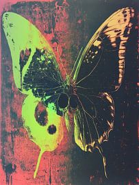 Schmetterling von TOAN TRAN