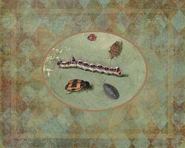 Caterpillar von Irene Hoekstra