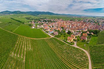 Een dorp te midden van de wijngaarden, Eguisheim, Alsace, Frankrijk