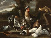 Een papegaai, kippen, een eend en tortelduiven, samen met een konijn en een cavia in een landschap,  van Meesterlijcke Meesters thumbnail