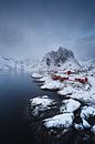 Hamnoy im Winter - Wunderschöne Lofoten von Rolf Schnepp Miniaturansicht