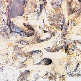 On the beach after the storm by FRESH Fine Art