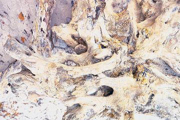 Am Strand nach dem Sturm von FRESH Fine Art