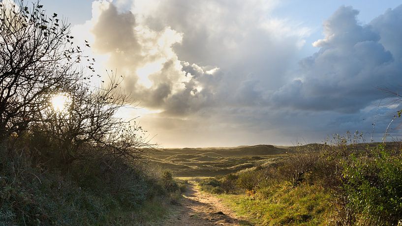 View over dune area by Rob Liefveld