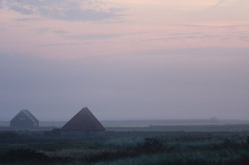 Enclos pour moutons au lever du soleil