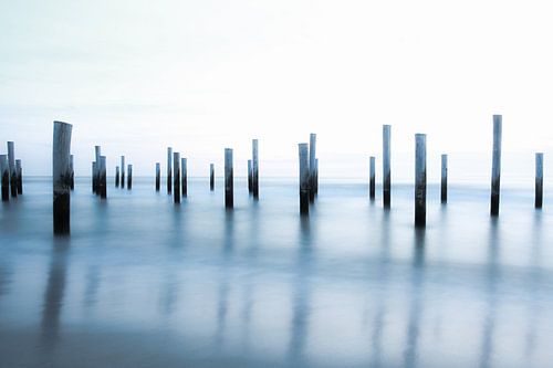 Palendorp Petten 6 sur Willem Klopper