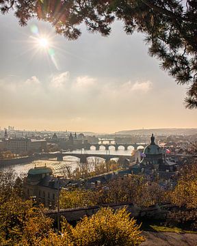Adembenemend uitzicht over de stad Praag, Tsjechië van Patrick Fotografeert