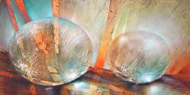 light by Annette Schmucker