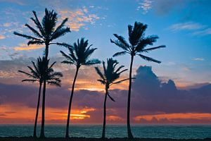 Sonnenaufgang Kapaa Beach Park, Kauai, Hawaii