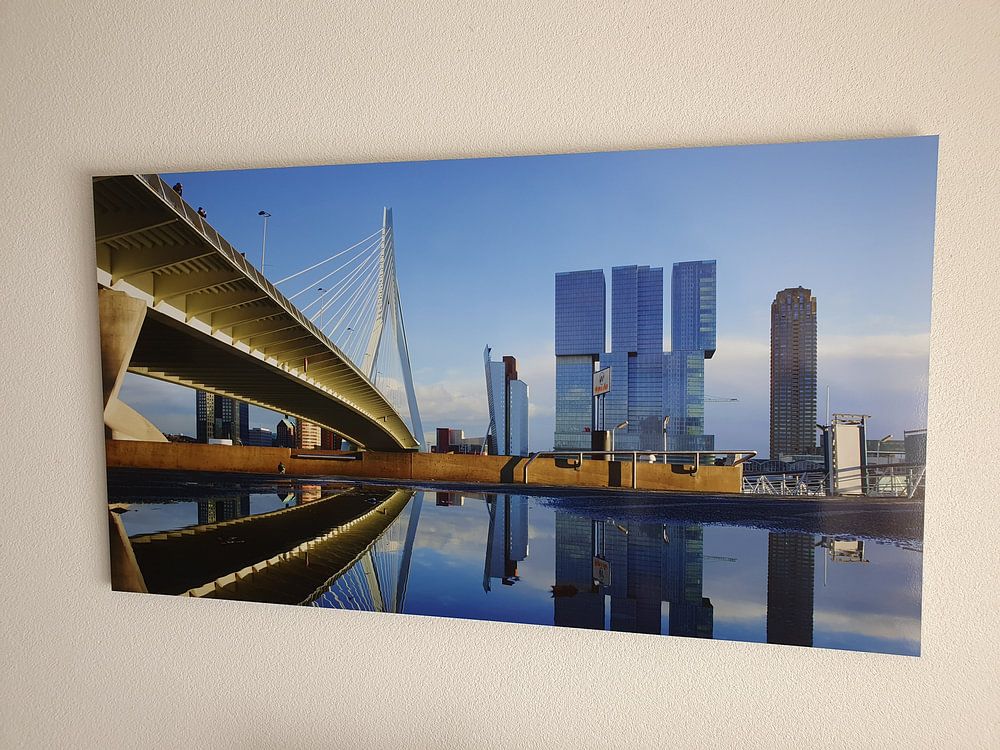 Erasmus Bridge in Rotterdam  by Michel van Kooten 