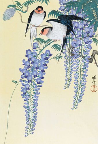 Zwaluwen en Wisteria, Ohara Koson